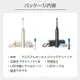 日本公司貨 Philips 飛利浦 Sonicare 9900 Prestige 超音波電動牙刷 HX9992 潔牙