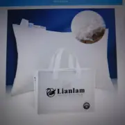 Lianlam Luxury Anadain White Goose Down Pillow