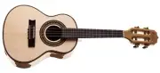 Cavaco Cavaquinho Electric - Rozini Concertista RC06 ATN MP - small guitar