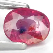 1.1 Ct. Marveluos Top Hot Red Ruby Unheated WITH GLC CERTIFY