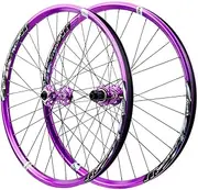26 27.5 29 Inch Wheel Set Disc Brake MTB Thru Axle Wheelset Bearing Hubs 8 9 10 11 12 Speed Cassette Mountain Bicycles Front Rear Rims (Color : Purple, Size : 29inch)