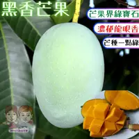 在飛比找樂天市場購物網優惠-【緁迪水果JDFruit】台灣小農- 高雄阿蓮黑香芒果烏香芒