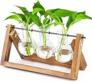 Propagation Station Plant Terrarium with Wooden Stand, Desktop Propagation Stations Glass Hydroponics Terrarium Planter Holder for Gardening Office Home Decor(3 Bulbs Vase)