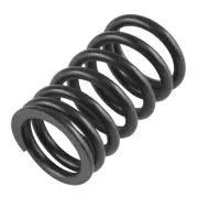 Valve Inner Spring for Yamaha YXE70 Wolverine R-Spec EPS 2016-2018