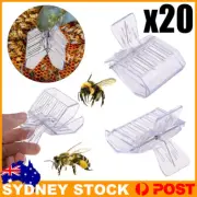 20pcs Queen Cage Clip Bee Catcher Beekeeper Beekeeping Tool Plastic Equipment AU