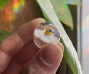 .90” “Bumble Bee” Flower Implosion Design Glass Art Marble Entomology USA