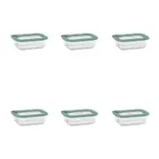 6PK Ecology Store Rectangle Glass Food Container 370ml - Eucalyptus