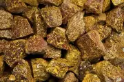 18 lbs Script Jasper / Sea Fossil Rough Stones - Natural Crystal Mineral Rock