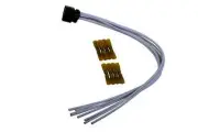 Transfer Case Encoder Motor Connector