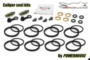 Kawasaki ZR1100 Zephyr A9 2003 front brake caliper seal rebuild repair kit set