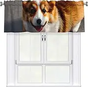 GaxfjRu Funny Corgi Butt Brown print Valance Room Darkening Blackout Valances 3 Inch Rod Pocket Window Valance for Bathroom