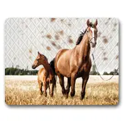 Cork Backed Placemats Chestnut Horses Set 6 Kitchen Dining