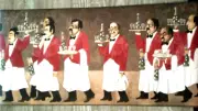 Wine Waiter Kitchen Wall Border Pre-Pasted 5 Yd. Roll