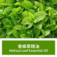 在飛比找蝦皮購物優惠-【馥靖精油】英國 香蜂草精油 Melissa Leaf Es