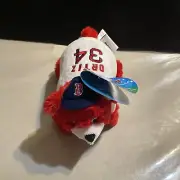 Mini Pillow Pet David Ortiz