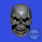 Skeletor Skull No Hood MotU custom print head for 4" 6" 7" 12" action figures