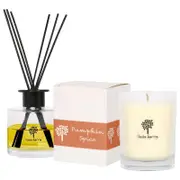 Nicola Spring Soy Wax Scented Candle & Diffuser Set - 160g - Pumpkin Spice