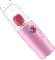 Housoutil Facial Steamer Portable Handheld Humidifier Face Steam for Women Steam Face Mist 35ml Random Color