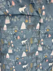 Kavee Winter Wonderland & Gray Fleece Liner Polar Bear Blue Guinea Pig 45”x 31”