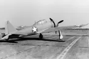 WWII MITSUBISHI A6M2 'ZERO' FIGHTER 8x12 GLOSSY PHOTO PRINT
