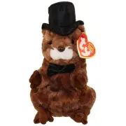 TY Beanie Baby - PUNXSUTAWNEY PHIL 2004 the Groundhog (6.5 inch) - MWMTs