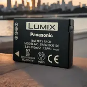 Panasonic DMW-BCG10 DMW-BCG10E DMW-BCG10GK DMW-BCG10PP NEW Digital Camera Lumix