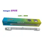 【綠海生活】HALOGEN 鹵素燈管 -燈管 照明燈管(110V/220V/300W/500W)