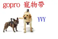 在飛比找蝦皮購物優惠-gopro 犬用胸背帶 寵物帶 寵物綁帶 狗狗背帶 HERO