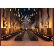 Wizard School Great Hall Large Printed Fabric Backdrop