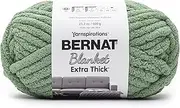 [Spinrite] Bernat Blanket Extra Thick 600g Green Frost Polyester Yarn