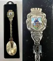 Vintage Disney Disneyland Teaspoon With Case Silver Spoon