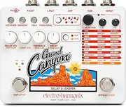 Electro Harmonix Grand Canyon Multifunction Delay & Looper Pedal w/Power Supply