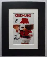 Joe Dante Signed Autograph 10x8 photo display Film Gremlins Gizmo Art COA AFTAL