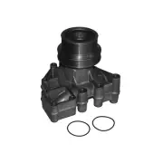 New Water Pump Fits Freightliner Fld120 Fld132 4.9L 2003-2004 21128 3800495