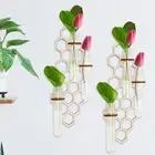 2X Wall Hanging Planter Hanging Plant Propagation Station with Propagation oll