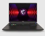MSI Vector Series Gaming Notebook 16" QHD Intel® Core™ i9-14900HX Processor DDR5