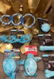 Kong, Playology, & Top Paw Blue Dog Toy Bundle (Medium-Large)