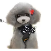 Pet Leashes