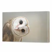 I'll Be Watching You | 120 x 80cm Stretched Canvas Print