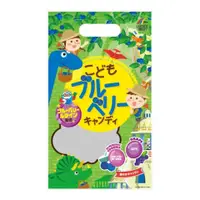 在飛比找比比昂日本好物商城優惠-UNIMAT RIKEN 酸酸甜甜 兒童護眼 藍莓棒棒糖 7