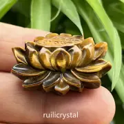 2''Natural Gold Tiger's Eye Quartz Hand Sculpture Lotus skull Crystal Healin