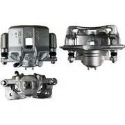 Protex Caliper Assembly - 090D0126