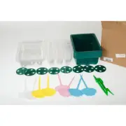 Seedlings Starter Trays Kit with Transparent Lid Reusable Plastic Seedling pauge