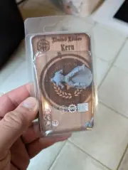 Limited Edition Steamforged Critical Role KERN Miniature