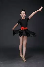 Girl Children Salsa Latin Dance Skirt Ballet Dancewear Ballroom Costumes Dress