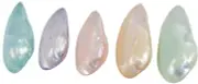 10 Minnow Pair Dyed Shells Bag of Seashells Craft Shells in Bulk 2" (Set of 10)