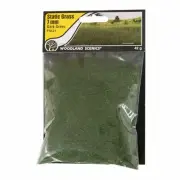 Woodland Scenics ~ New 2025 ~ Static Grass ~ Dark Green ~ 7mm ~ FS621