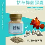 魚寶貝【枯草桿菌膠囊 專業魚場推薦】強效淨水 水族淨水 空氣缸 改善水質 培養硝化菌 強效光合菌 免疫蛋白及抗體