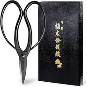 Hanafubuki Bonsai Scissors Made in Japan 7inch(180mm), Japanese Bonsai Garden Tools, Hasami Pruning Shears - Traditional Black