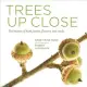 Trees Up Close: The beauty of bark, leaves, flowers, and seeds